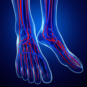 Signs and Symptoms of Poor Circulation in Feet - Advanced Foot & Ankle Care  Specialists