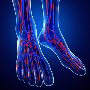 Signs and Symptoms of Poor Circulation in Feet - Advanced Foot